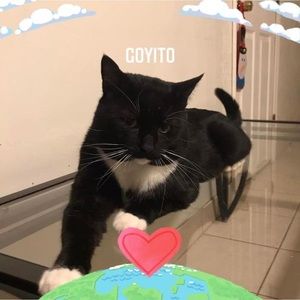 Meet your Posher, Isela